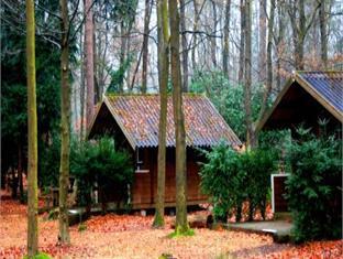 Apeldoorn Netherlands Promo Code Agoda.com