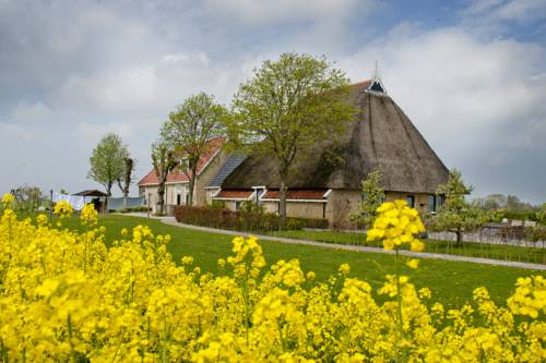 Dongjum Code Promo Pays-Bas Booking.com