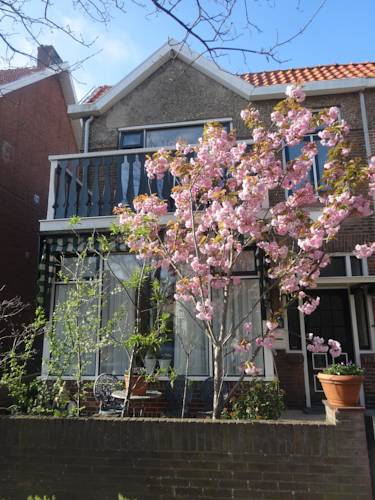Zandvoort Niederlande Promo-Code Booking.com