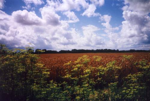 Kloosterburen Niederlande Promo-Code Booking.com
