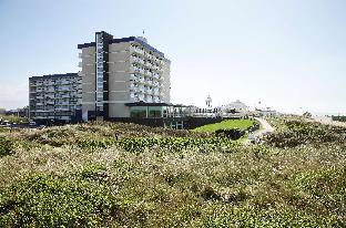 The Hague Netherlands Hotels