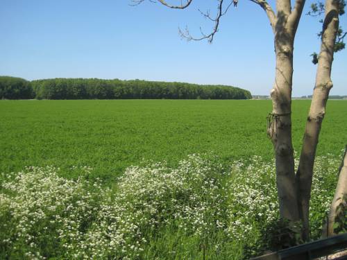 Zuid-Beijerland Netherlands Promo Code Booking.com