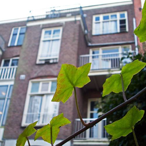Amsterdam Netherlands Hotel