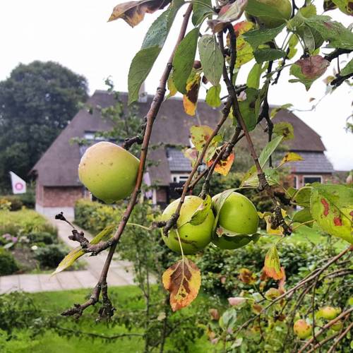 Someren Netherlands Promo Code Booking.com