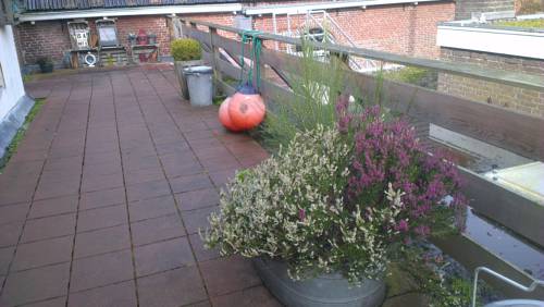 Oude Bildtzijl Netherlands Promo Code Booking.com