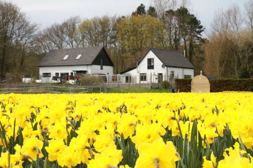 Egmond aan Zee Code Promo Pays-Bas Booking.com