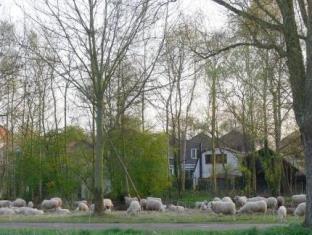 Rotterdam Netherlands Promo Code Agoda.com
