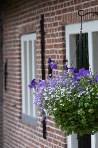 Dokkum Code Promo Pays-Bas Booking.com