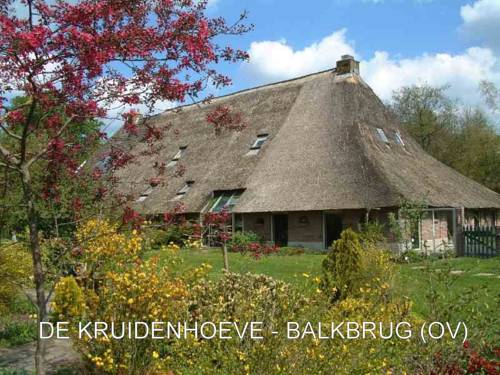 Balkbrug Paesi Bassi Codice Promo Booking.com