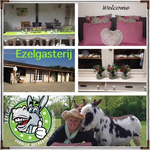 Vierlingsbeek Paesi Bassi Codice Promo Booking.com