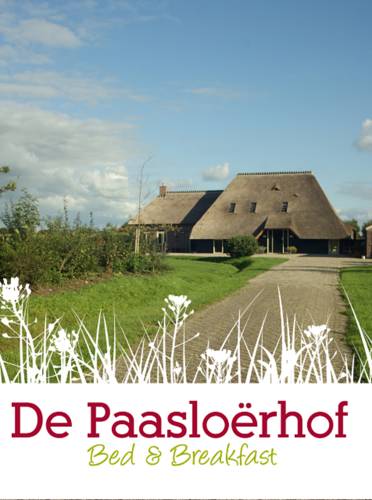 Paasloo Paesi Bassi Codice Promo Booking.com