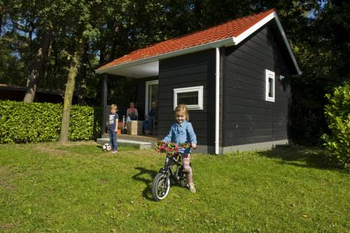 Oisterwijk Paesi Bassi Codice Promo Booking.com